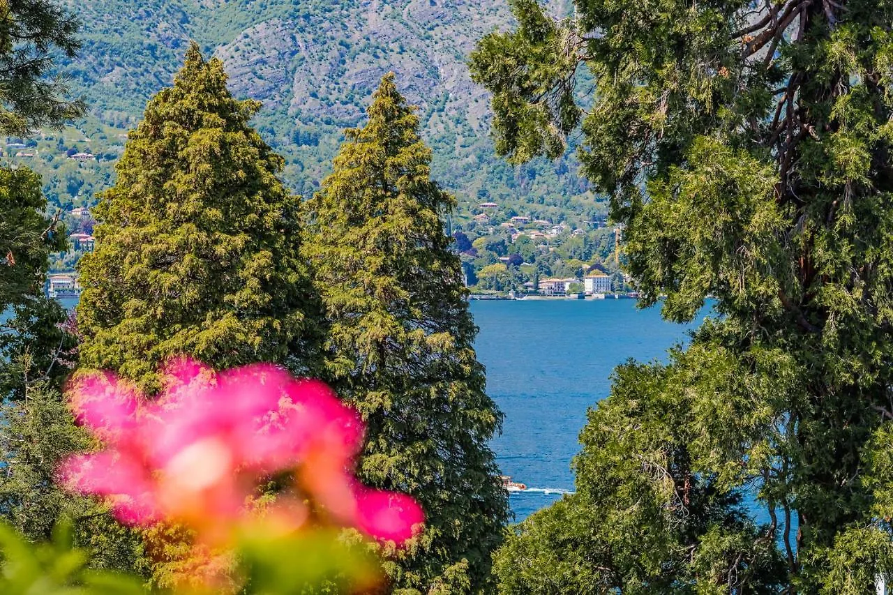 Gothic Apartments By Wonderful Italy Bellagio 0*,  Italy